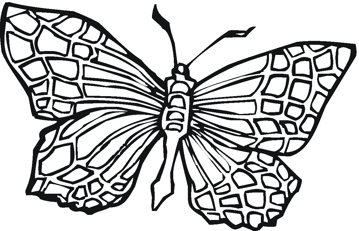 geometric butterfly coloring pages - photo #13