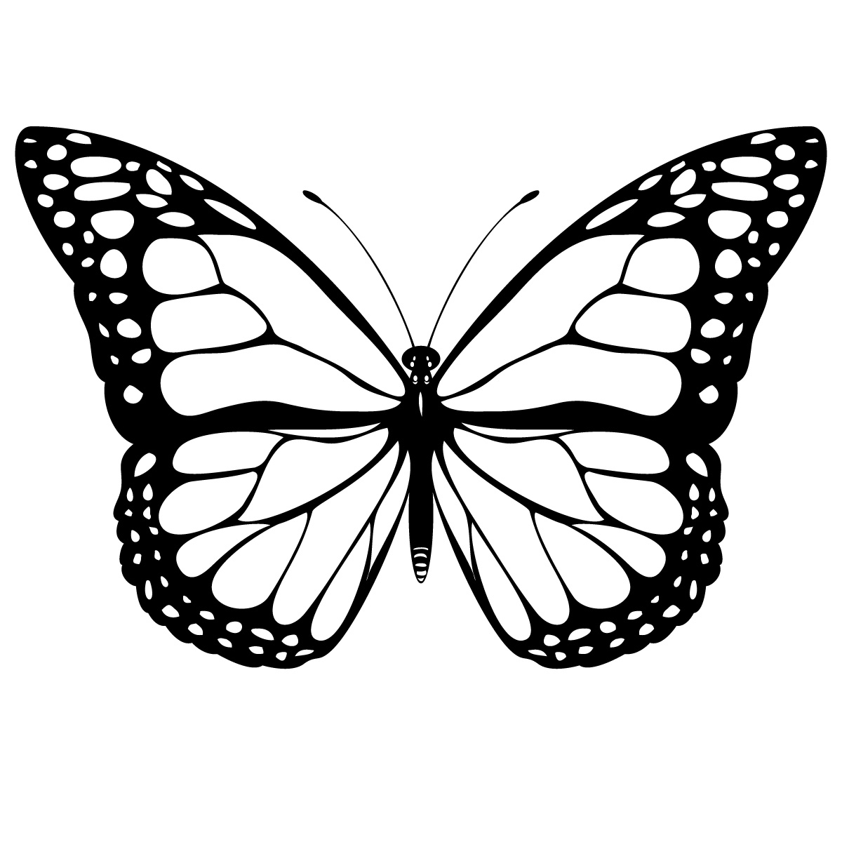Butterfly Coloring Page   Dr. Odd