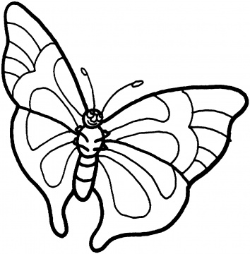 Butterfly Coloring Page - Dr. Odd
