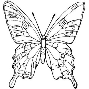 Butterfly Coloring Page - Dr. Odd