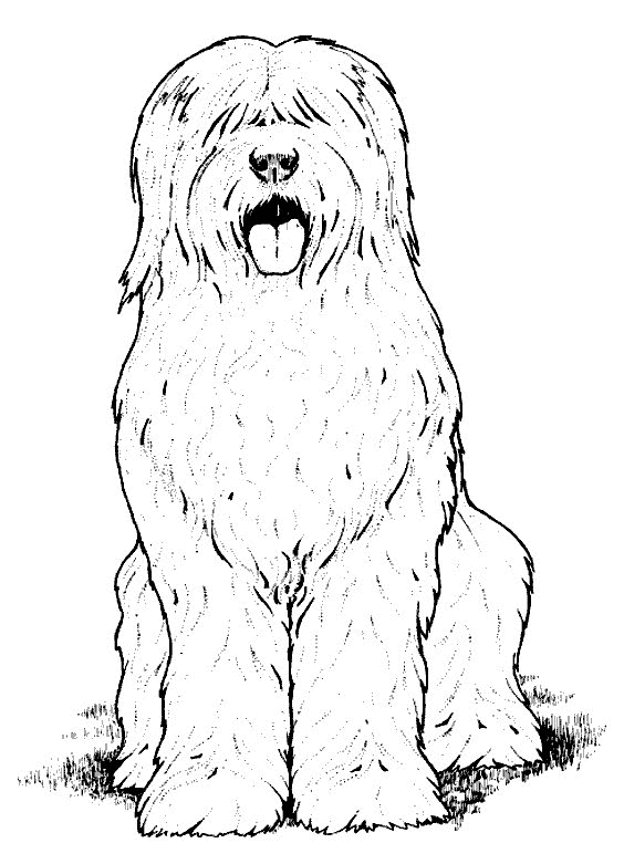 Dog Coloring Pages 2018- Dr. Odd