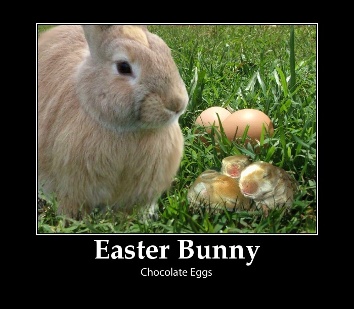 Funny Easter Pictures 2018- Dr. Odd