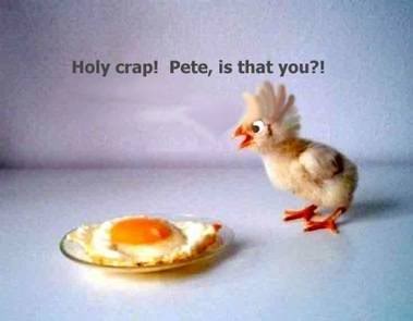 funny easter pictures