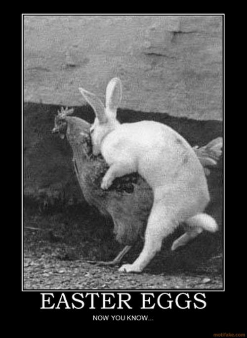 funny easter pictures
