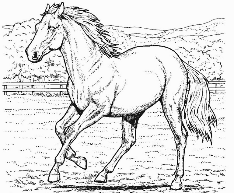 horse templates Colouring Pages
