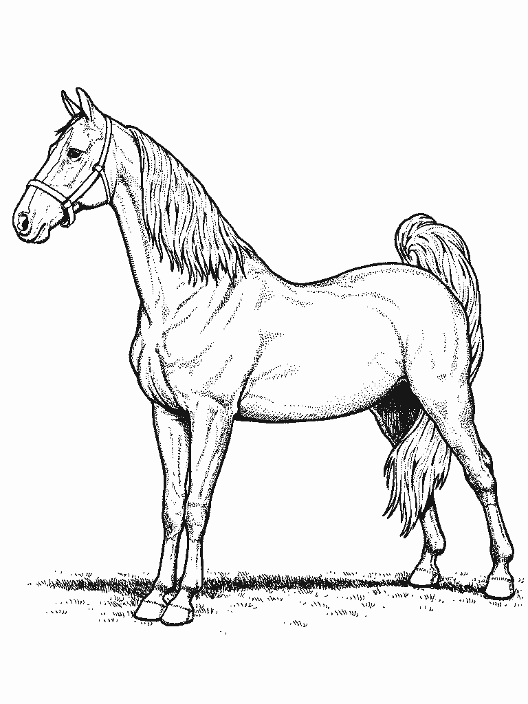 horse coloring odd dr
