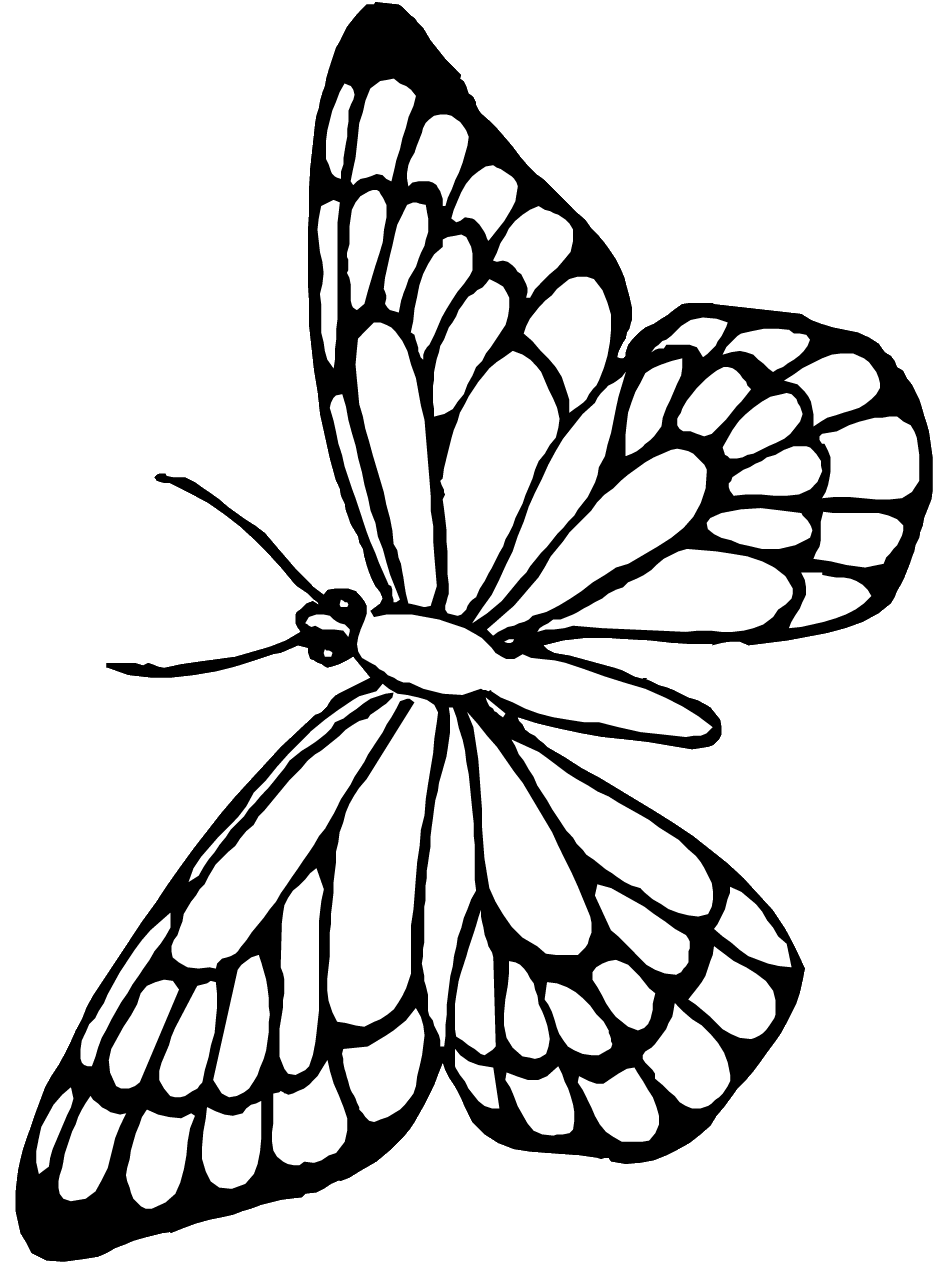 Butterfly Coloring Page - Dr. Odd