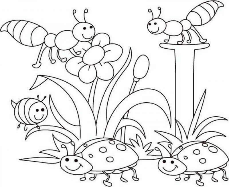 coloring spring pages - photo #17