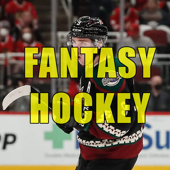 Fantasy Hockey League Names  