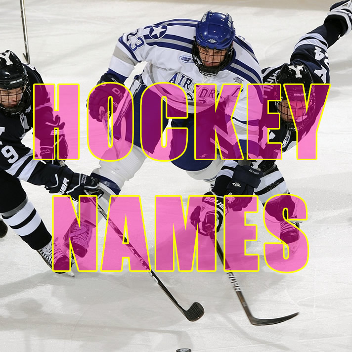 Dirty Fantasy Hockey Names  