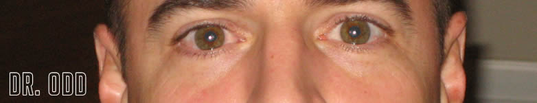 Dr. Odd - Andrew Ziola