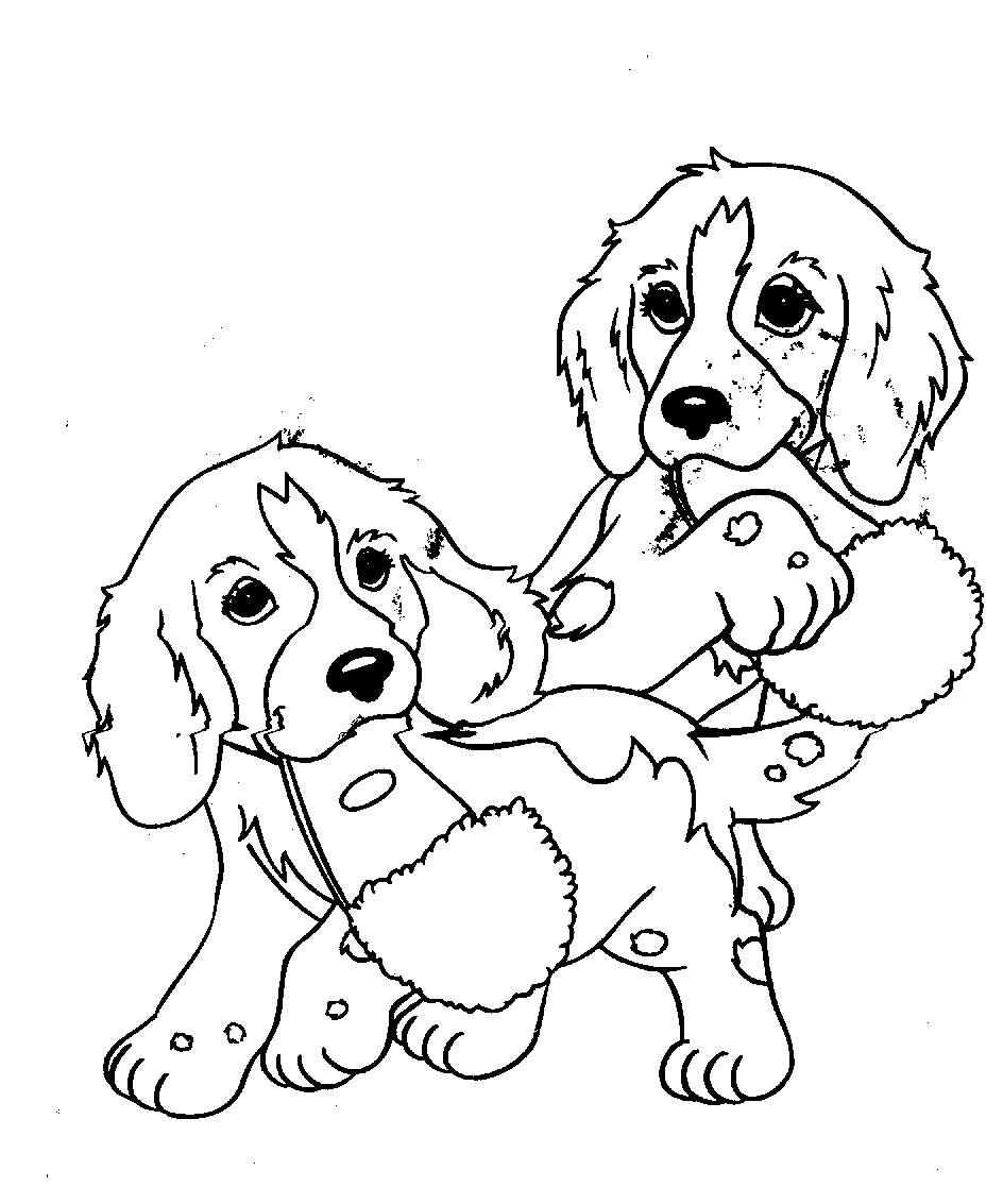 Dog Coloring Pages 2021: Best, Cool, Funny