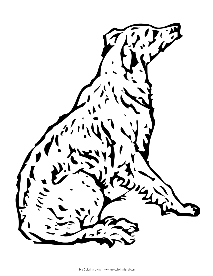 Dog Coloring Pages 2022: Best, Cool, Funny