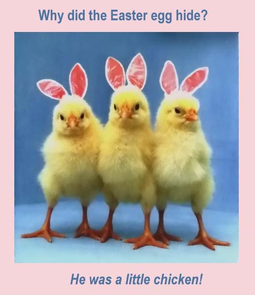 Funny Easter Pictures 2022: Best, Cool, Funny