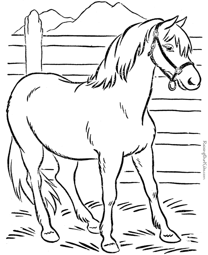 Horse Coloring Pages 2021: Best, Cool, Funny