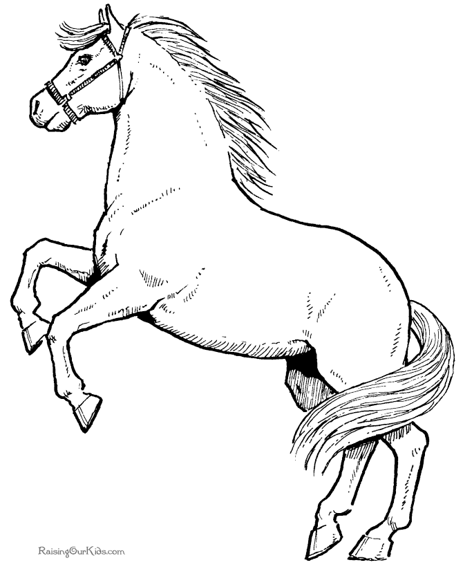 Horse Coloring Pages 2021: Best, Cool, Funny