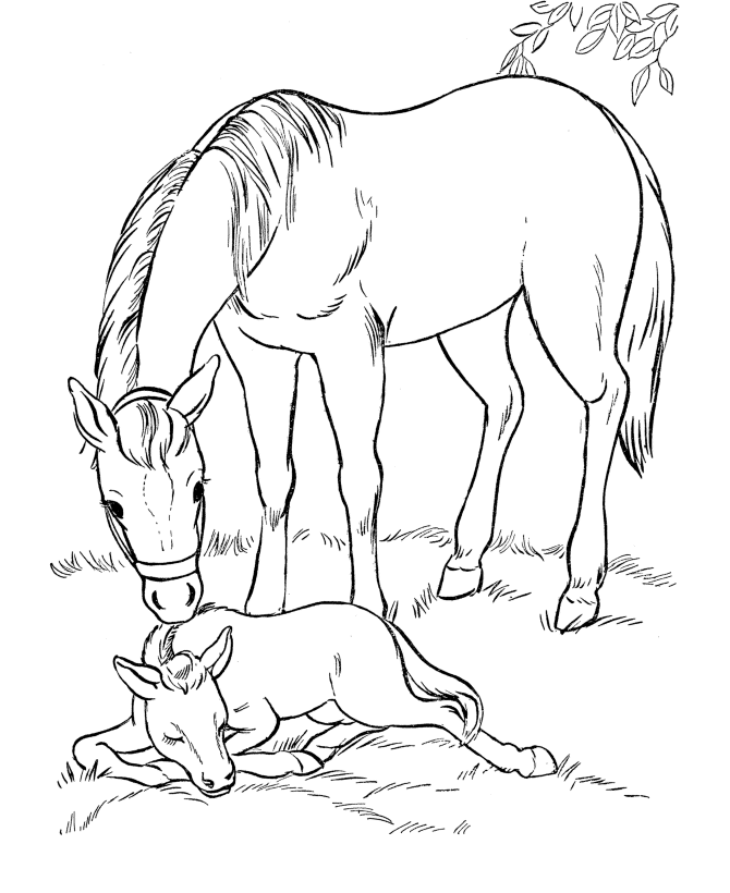 Horse Coloring Pages 2021: Best, Cool, Funny