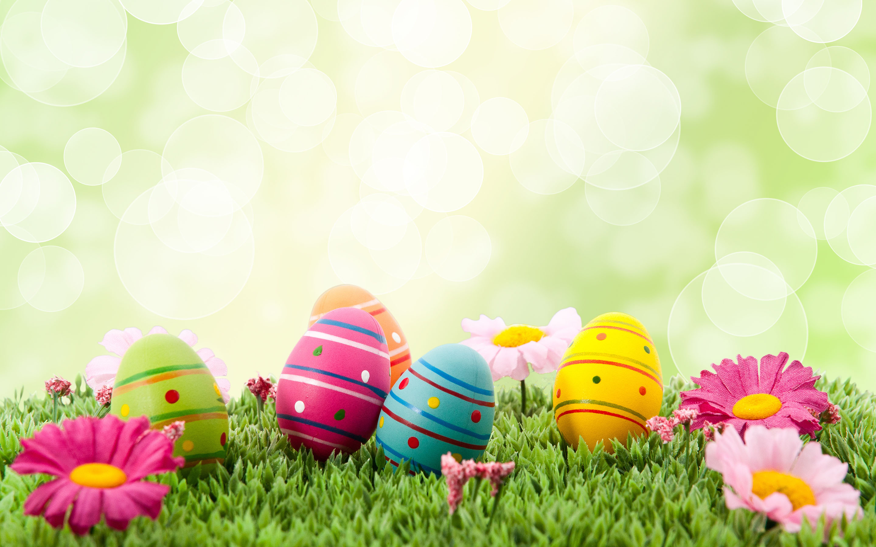 Easter Wallpaper 2018- Dr. Odd