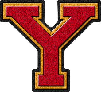 Letter Y - Best, Cool, Funny