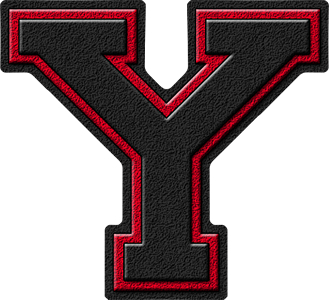 Letter Y - Best, Cool, Funny