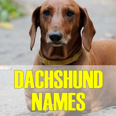 Name
