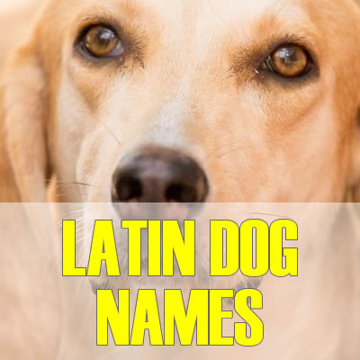 Name