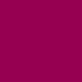 Magenta Satin Cheetah Button Front Top main image 1