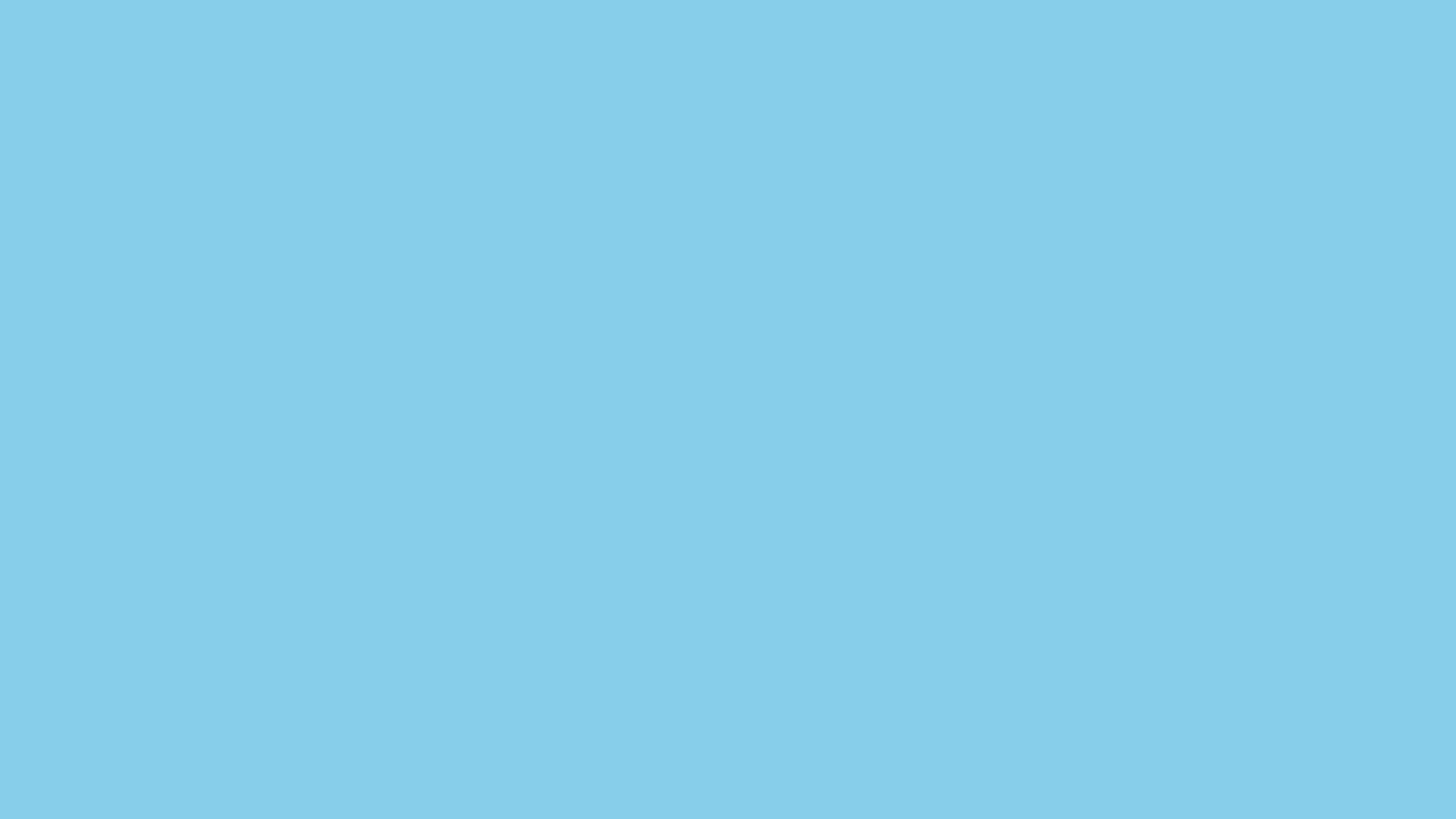 skyblue teddy