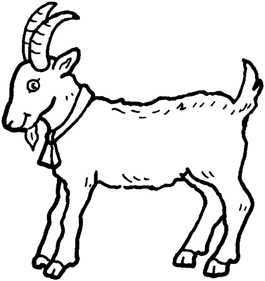 Coloring Pages Animals - Dr. Odd Coloring Pages Animals - Dr. Odd