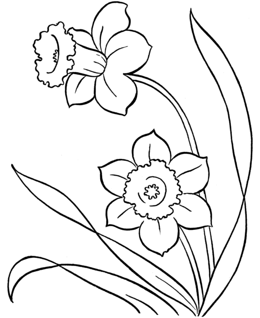 Spring Coloring Pages 2018- Dr. Odd